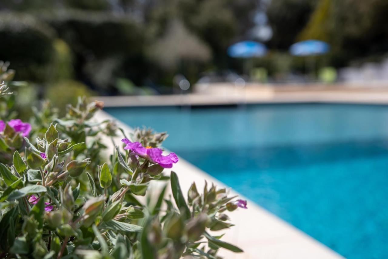 Les Arbousiers Village Hotel Provencal La Roquebrussanne Dış mekan fotoğraf