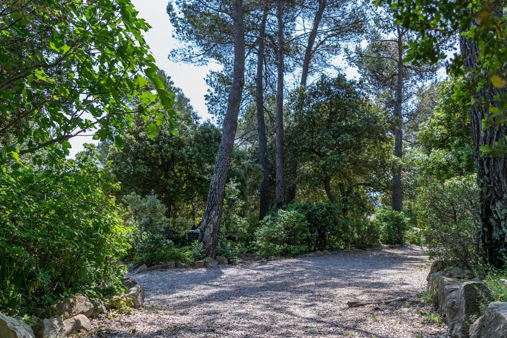 Les Arbousiers Village Hotel Provencal La Roquebrussanne Dış mekan fotoğraf
